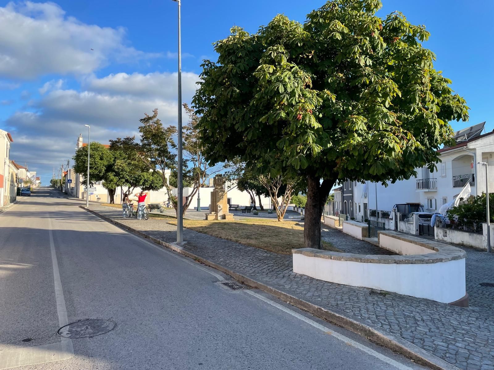 Requalificação de Jardim e Vias, Montemor-o-Velho